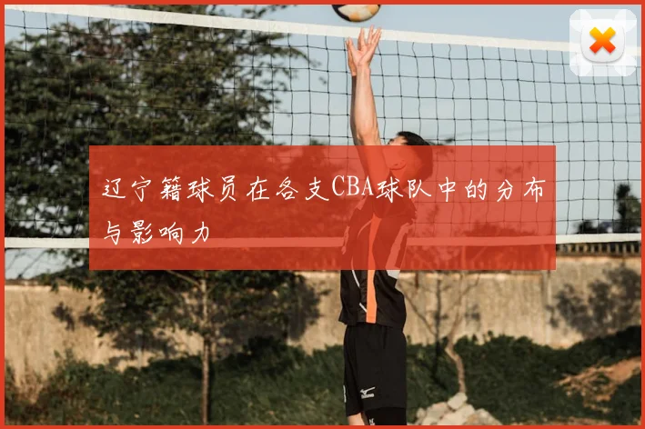 辽宁籍球员在各支CBA球队中的分布与影响力